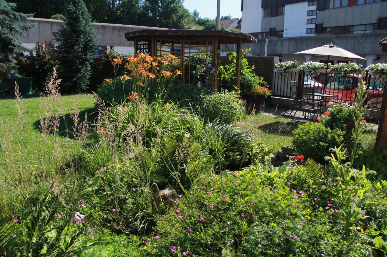 Apartman Brasov, Týn nad Vltavou Exteriör bild